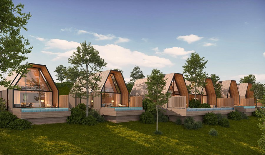 prefab timber cabin in pine forest